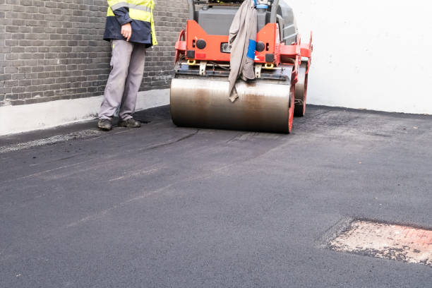 Best Driveway Snow Removal Preparation  in Oneida, NY